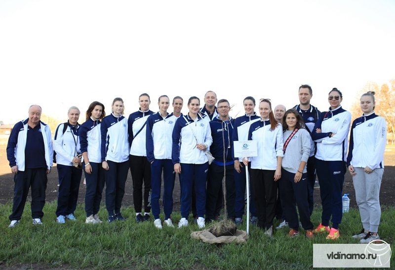 Волейболистки команды «Динамо» приняли участие в закладке липецкой аллеи спорта.